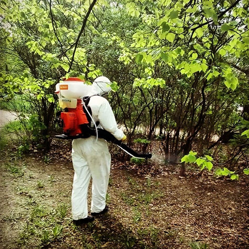 Обновление товаров и услуг в городе
 Дятьково