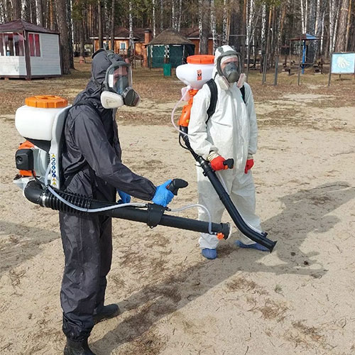 Новые товары и услуги в районе
 Невский