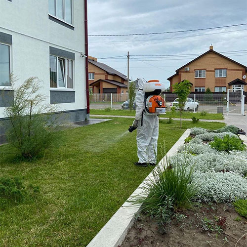 Провести дезинфекцию Лианозово-М