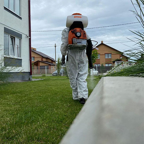 Обновление товаров и услуг в городе
 Красноармейск