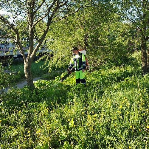 Что нового в городе
 Ростов-на-Дону?