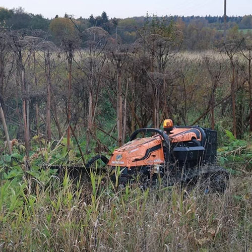 Новые товары и услуги в городе
 Таруса