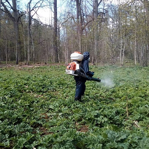 Что нового в городе
 Дно?