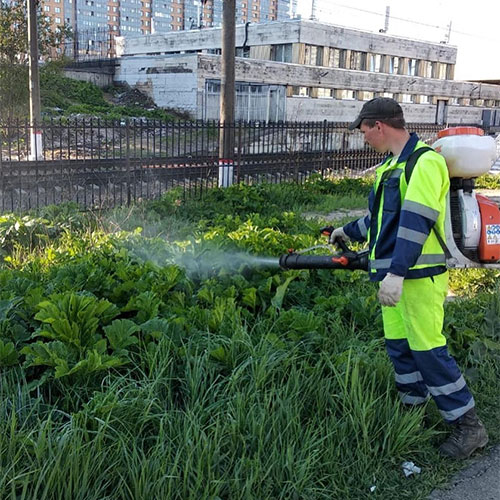 Новые товары и услуги в районе метро
 Нижегородская-М