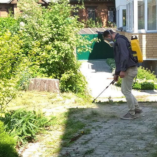 Новые товары и услуги в городе
 Луховицы