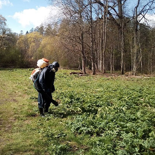 Последние изменения в районе
 Тельмана