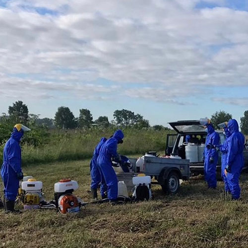 Последние изменения в городе
 Пушкино