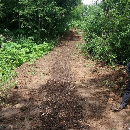 Заказать уничтожение борщевика Дедовск