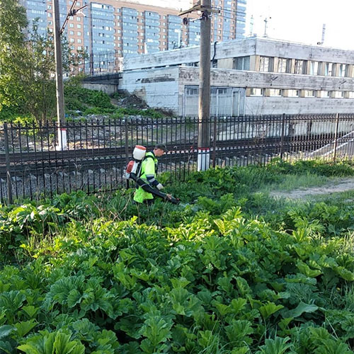 Последние изменения в городе
 Серов