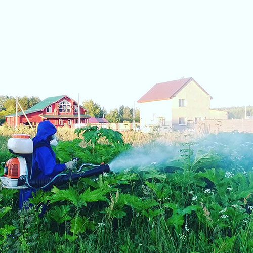 Звёздное - обновление товаров и услуг