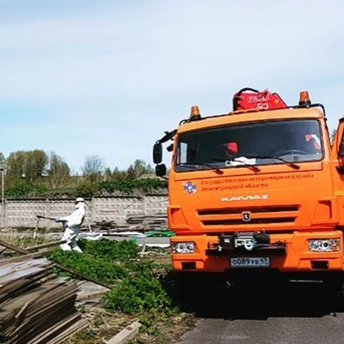 Обновление товаров и услуг в районе
 Урицк